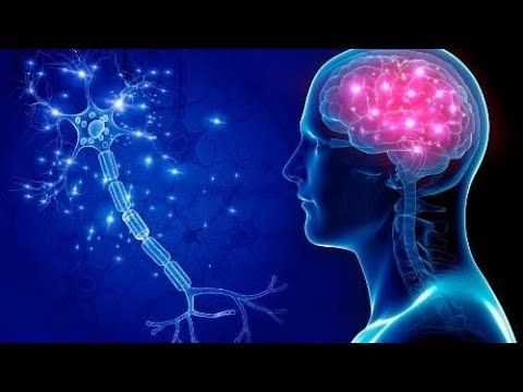 Epilepsia, lufta me trurin