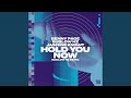 Hold You Now (SubLow Hz Remix)