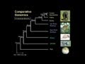 Gene Instabilities/Accelerated Regions in the Human Genome