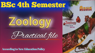 BSc 4th Semester Zoology Practical File  | BSc 4th Semester Zoology Practical File kaise banaye