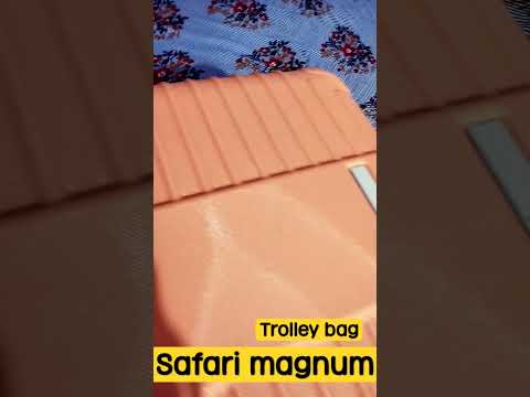 magnum by safari