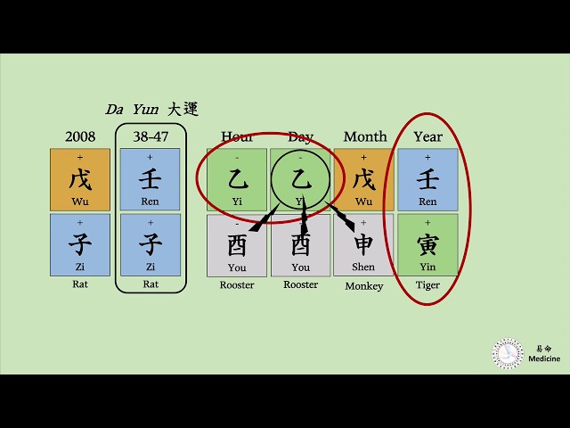 [Bazi Basic: 5] Yong Shin in weak charts (feat. Liver Cancer) class=