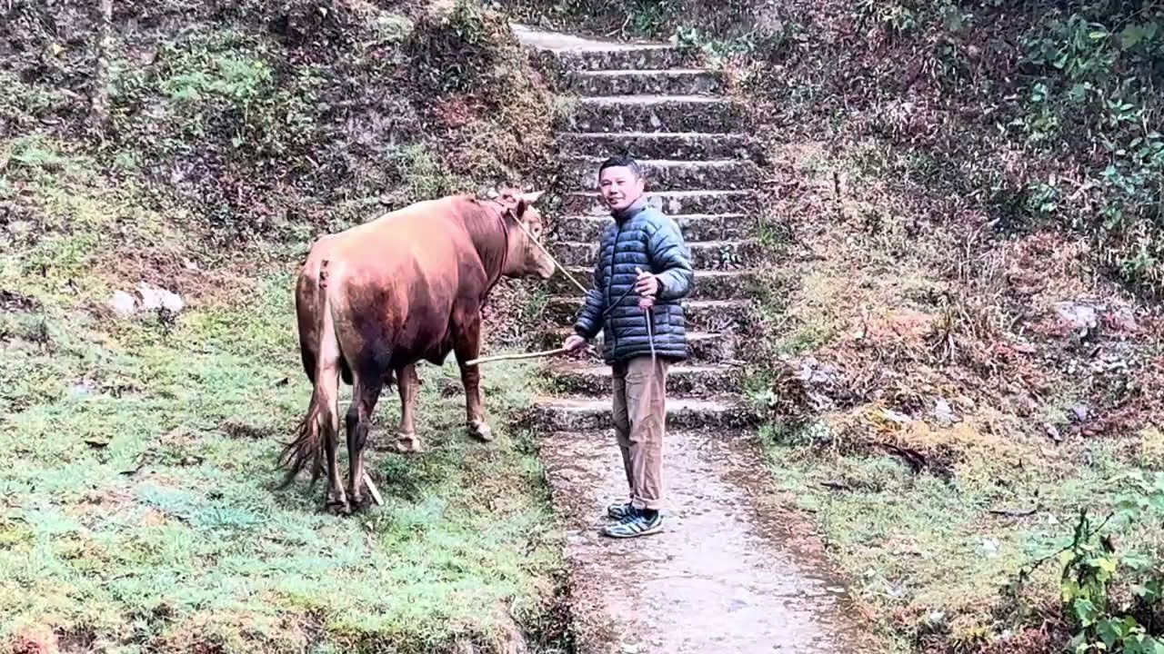 Morning exercise with my babies in green forest.