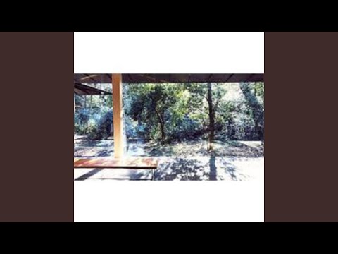 Can i love you - Shiloh Dynasty