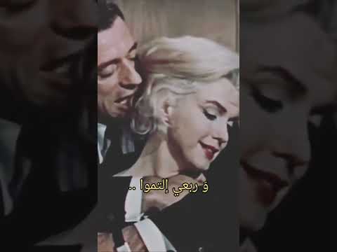 خليني شوفك بالليل