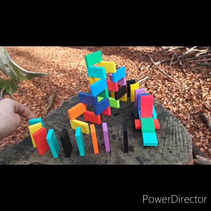 dominoes in the forest