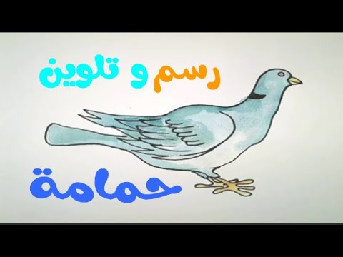 تعليم الرسم خطوة بخطوة رسم و تلوين حمامة