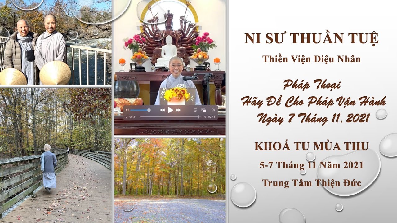 Ni Sư Thuần Tuệ - Hãy Để Cho Pháp Vận Hành - Ngày 7 Tháng 11, 2021 - Trung Tâm Thiện Đức