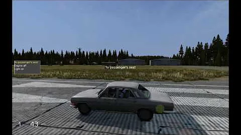 when you rally too hard on dayz