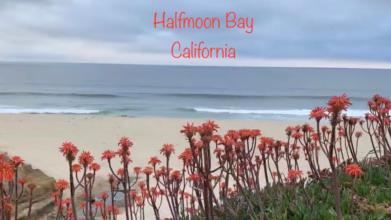 Visiting Half Moon Bay