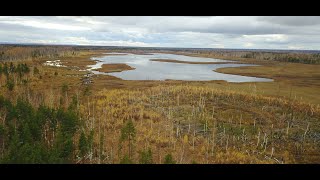 КОРДОН ЯЗЫ. БЫВШИЙ ПОСЁЛОК в НИЖЕГОРОДСКИХ ЛЕСАХ. Озеро Попова и Малые Язы