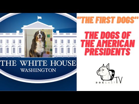 Which president had the first dog?