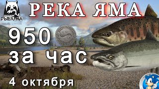🌟950 МОНЕТ ЗА ЧАС🌟РЕКА ЯМА🌟Русская Рыбалка 4 (РР4)🌟