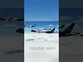 Lufthansa uziemiła 27 regionalnych odrzutowców. Wakacje zagrożone?