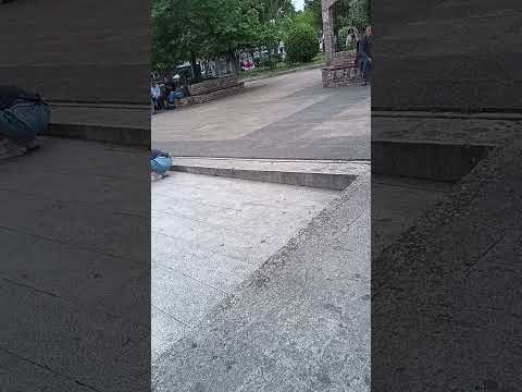 οι 4 κλάδοι