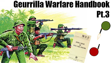 Guerilla Warfare Pt.3 | How to Win Support and How to Successfully do a Land Ambush