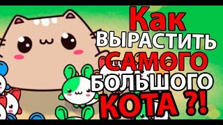 Как вырастить самого большого КОТА ? ( Princess Cat Nom Nom ) Как вырастить самого большого КОТА ? ( Princess Cat Nom Nom )