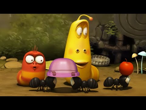 🐜 Larva et la Fourmi | Dessin animé drôle pour enfants | Compilation de 18 minutes