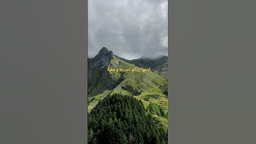 قران كريم//ادعوا ربكم تضرعا وخفيه//سوره الاعراف