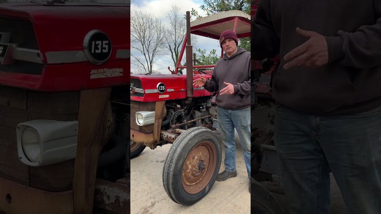 Massey Ferguson 135 With An 8 Speed Gearbox Quite A Rare Find At Tamarvintagetractors