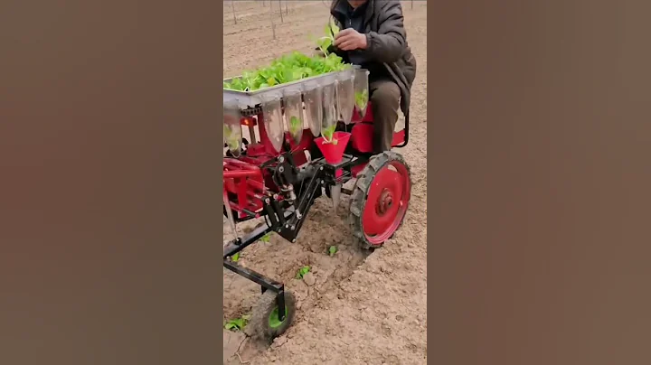 Planting Machine - DayDayNews
