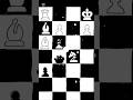 Queen and rook sacriface by Brilliant's king Mikhail Tal #brilliant #chess #chessgame