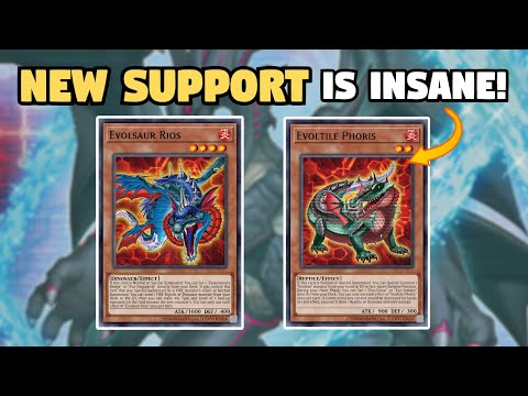 NEW SUPPORT! Evolsaur/Evoltile Deck Profile! + 5 NEGATE COMBO! | August  2023 (Post DUNE) - YouTube