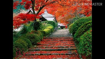 تلاوة ماتيسر من سورة الطور بصوت القارئ بدر سيف