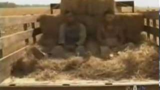 Alison Krauss Gillian Welch   I'll Fly Away