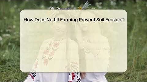 How Does No-till Farming Prevent Soil Erosion? - The Plant Enthusiast