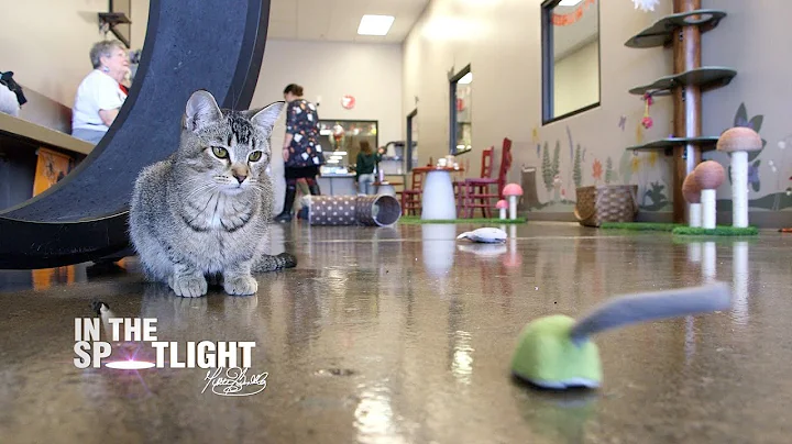 In the Spotlight with Julia Meek