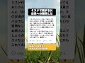 「娘の友達が来ます。何をいくつ…」ミスドでフリーズするお父さん。店員さんの『完璧すぎる神対応』に感動✨ #神対応 #ほっこり