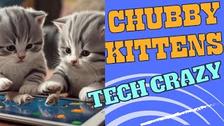 CHUBBY KITTENS  Technology Crazy Cats