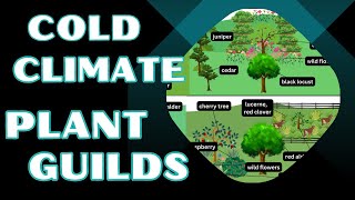 Examples of Permaculture Food Forest Tree Guilds in Temperate Climate