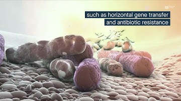 SCAPP: An algorithm for improved plasmid assembly in metagenomes