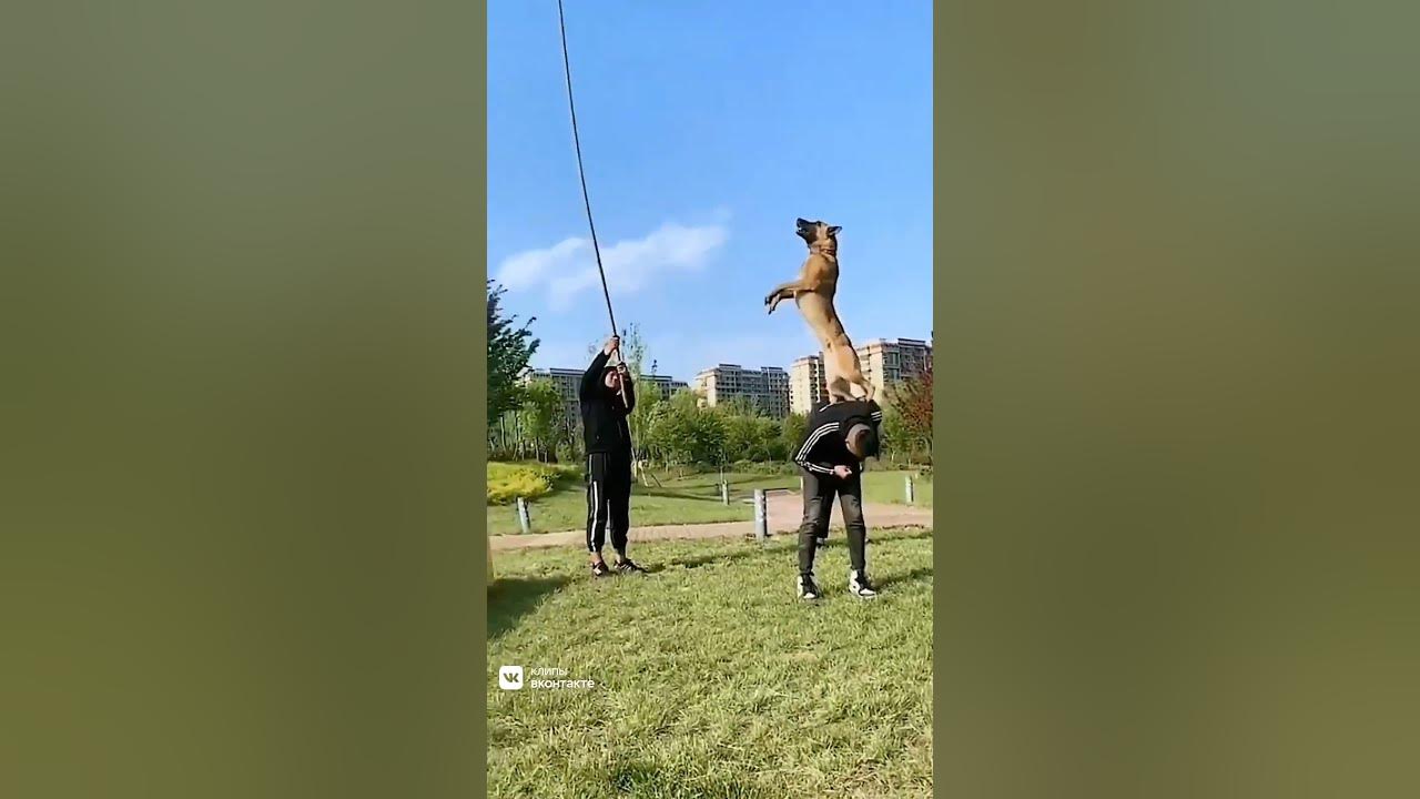 круто получилось 🤩 - YouTube