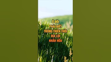 Ở đời phải biết trông thiên thời địa lợi nhân hòa.