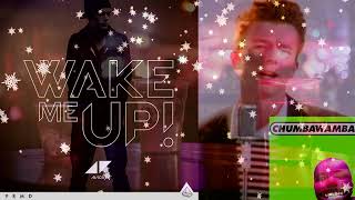 Video thumbnail of "Never Gonna Wake You Up (NilsOfficial Mashup)"