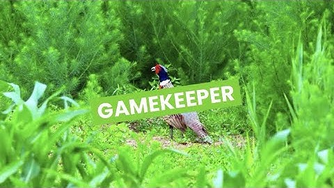 Discover Careers: Gamekeeper | Sortyourfuture