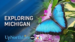 Exploring Michigan: Experience art and nature in harmony at Frederik Meijer Gardens by UpNorthLive 54 views 7 days ago 2 minutes, 30 seconds