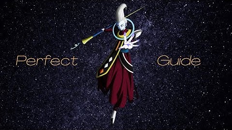 The Perfect Guide to Budokai