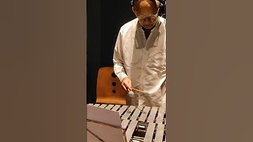 vibraphone sound #recording #recordingartist #shorts #shortvideo