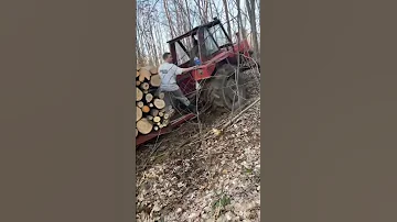 IMT Traktor U šumi Bez Puta što Očekivati Tractor Imt Automobile Shortvideo 