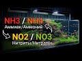 Аммиак NH3 и аммоний NH4, нитриты NO2 и нитраты NO3 в воде аквариума. Азотный цикл в воде.