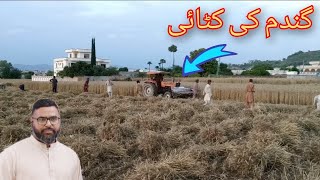 Wheat Harvesting 2024 || Harvesting wheat with modern technology||#dadyal#mirpur#azad#kashmir