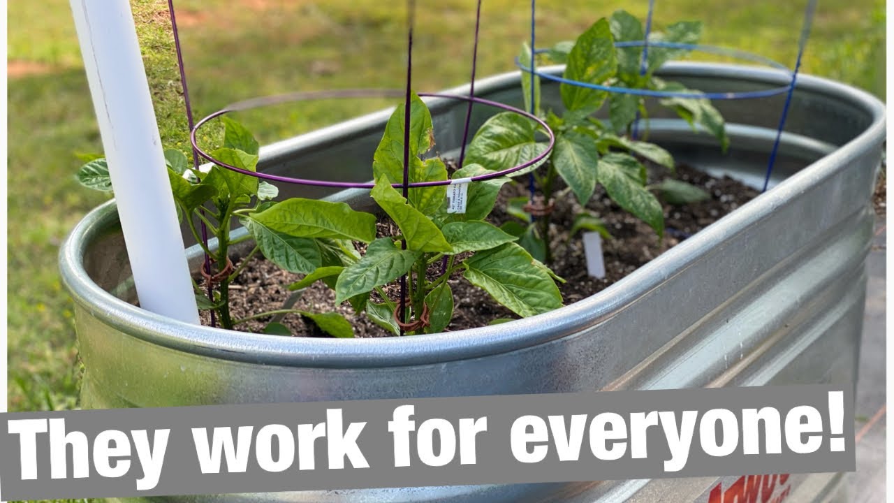 SelfWatering Raised Beds Works for everyone! YouTube