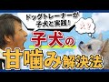 子犬の甘噛みについて