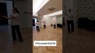 Studiando la forma del Ventaglio Tai Chi ::: Vizconde Kung Fu