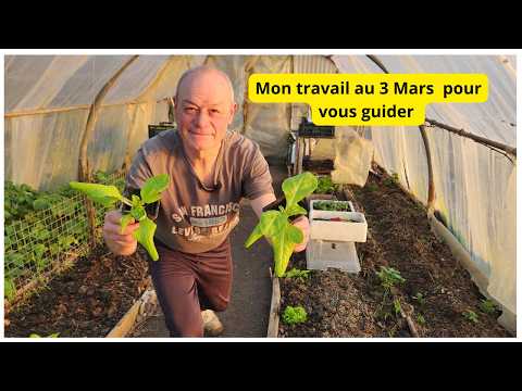 Les plantations avancent bien au jardin de Philippe !