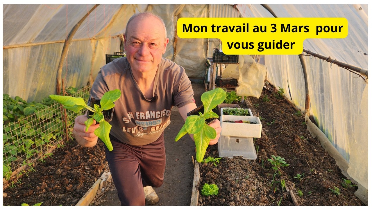 Les plantations avancent  bien  au jardin  de Philippe !